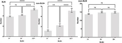 The prevalence of non-sentinel lymph node metastasis among breast cancer patients with sentinel lymph node involvement and its impact on clinical decision-making: a single-centred retrospective study